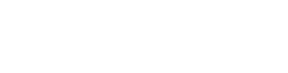 Netblue web development